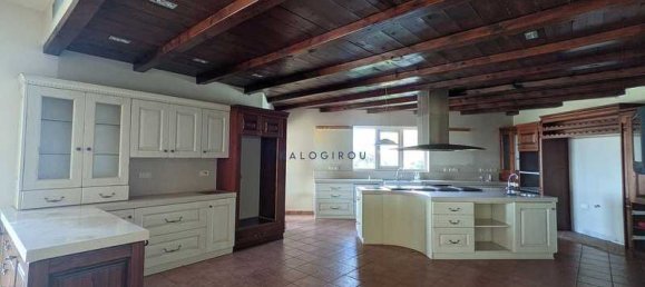 Imóvel comercial T4 em Anarita, Cyprus N.º 20133 15