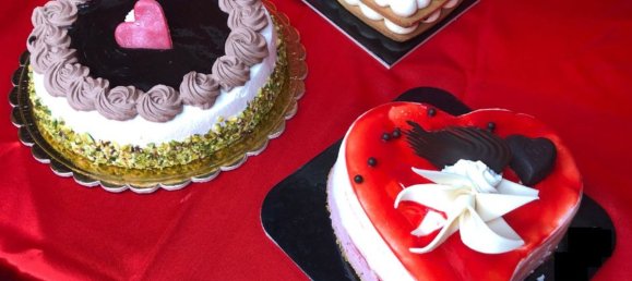 150m² Commercial property in Budrio, Italy No. 145642 18