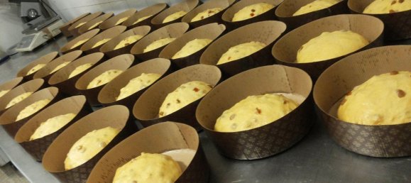 150m² Commercial property in Budrio, Italy No. 145642 14