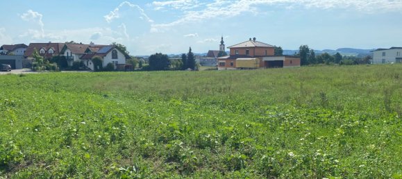  Land in Dorf an der Pram, Austria No. 28579 3