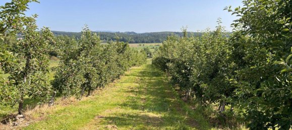  Land in Ilz, Austria No. 166470 10