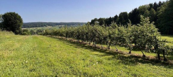  Land in Ilz, Austria No. 166470 9