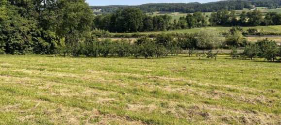  Land in Ilz, Austria No. 166470 8