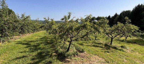  Land in Ilz, Austria No. 166470 11