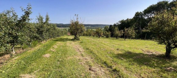  Land in Ilz, Austria No. 166470 2