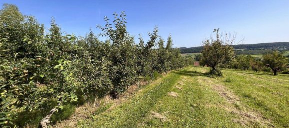  Land in Ilz, Austria No. 166470 12