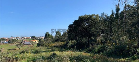 Land in Cartaxo, Portugal No. 159916 3