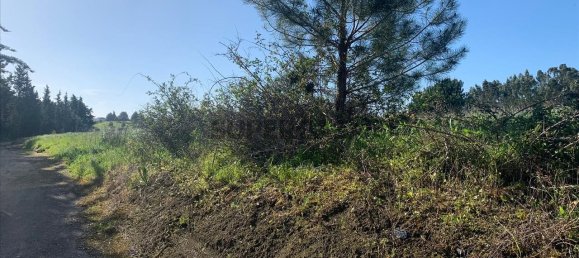 Land in Cartaxo, Portugal No. 159916 9