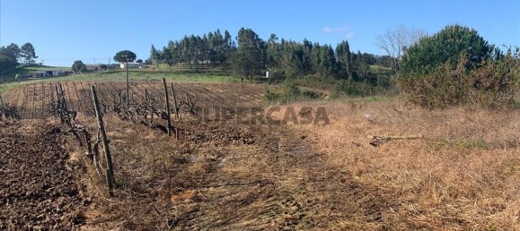 Land in Cartaxo, Portugal No. 159916 14