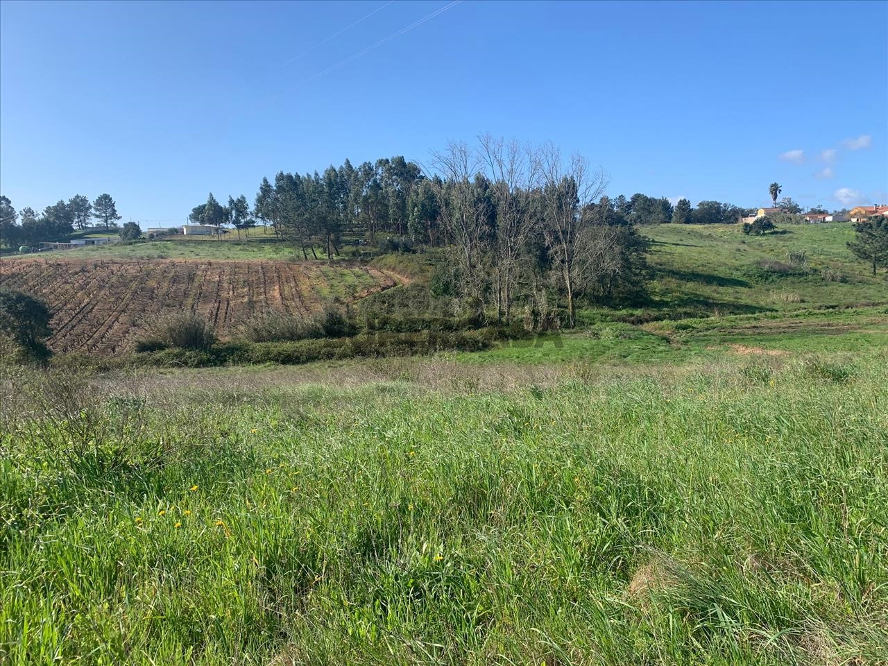  Land in Cartaxo, Portugal No. 159916