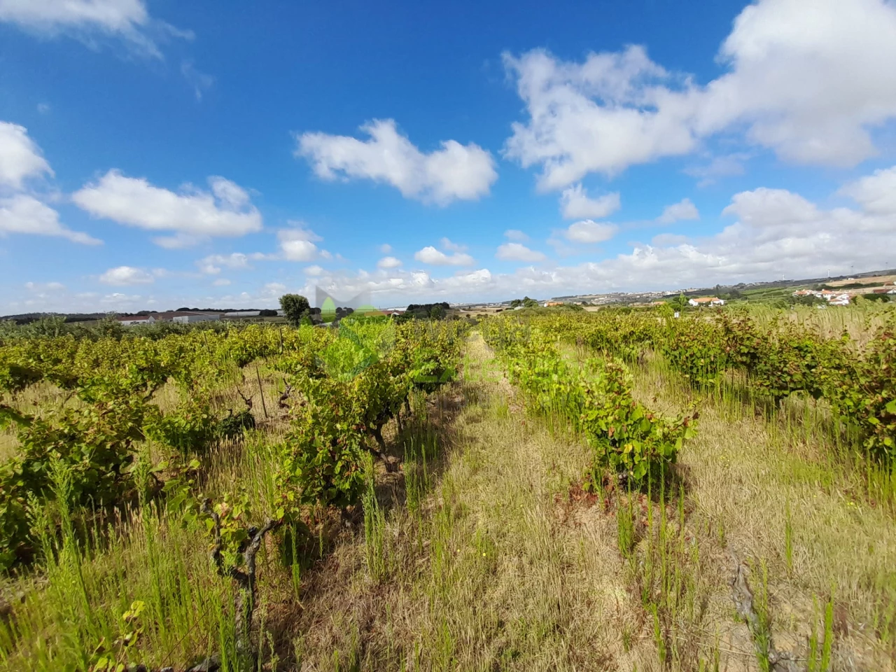 Terreno em Moita dos Ferreiros, Portugal 218 m² N.º 328085