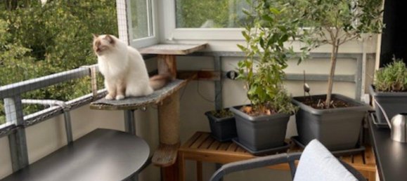 2 bedrooms Apartment in Hanover, Germany No. 265006 16