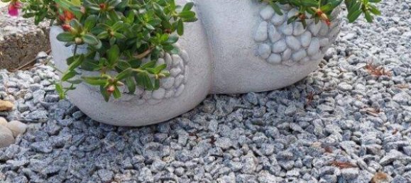 Casa de 5 habitaciónes en Grunbach am Schneeberg, Austria No. 222721 3