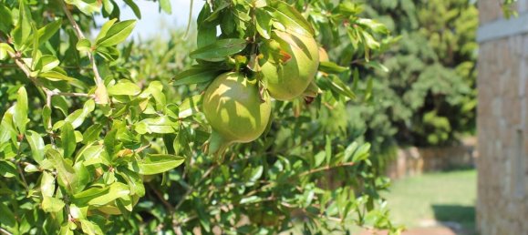 Вилла 430м² в Халкидики, Греция № 56660 16