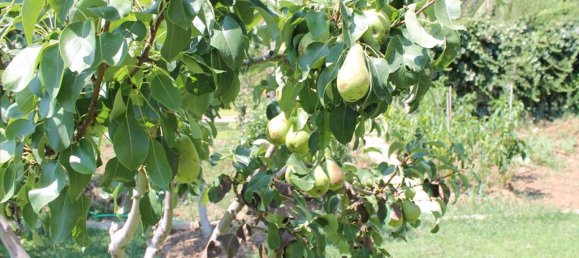 Вилла 430м² в Халкидики, Греция № 56660 15