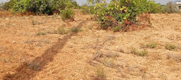 Grundstück in Olhao, Portugal, Nr. 276834 6