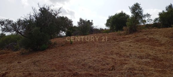 Grundstück in Olhao, Portugal, Nr. 276834 2