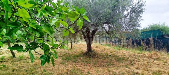 Terreno em Civitanova Marche, Italy 2123 m² N.º 285360 9