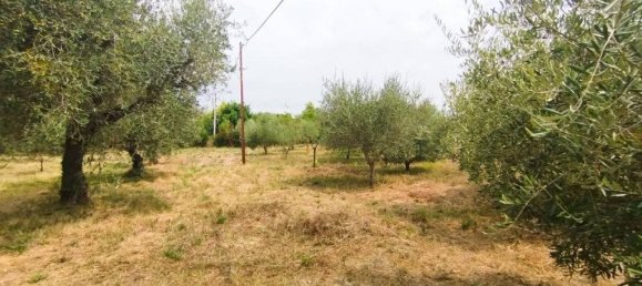 Terreno em Civitanova Marche, Italy 2123 m² N.º 285360 15