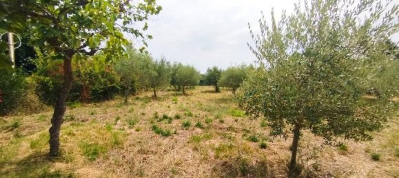 Terreno em Civitanova Marche, Italy 2123 m² N.º 285360 10