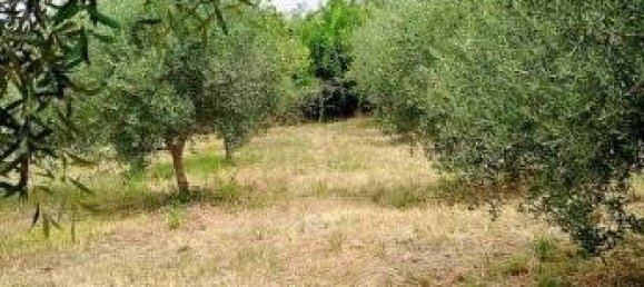 Terreno em Civitanova Marche, Italy 2123 m² N.º 285360 12