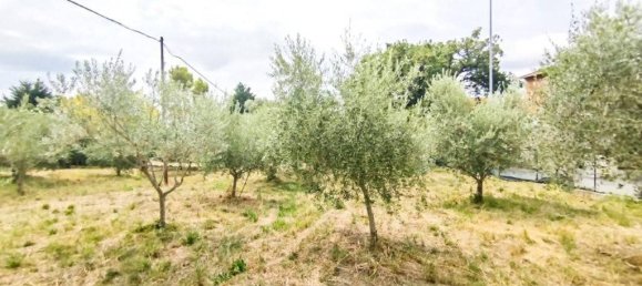 Terreno em Civitanova Marche, Italy 2123 m² N.º 285360 11