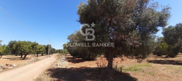 1 room Land in San Vito dei Normanni, Italy No. 149769 7