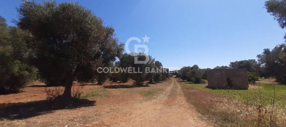 1 room Land in San Vito dei Normanni, Italy No. 149769 6