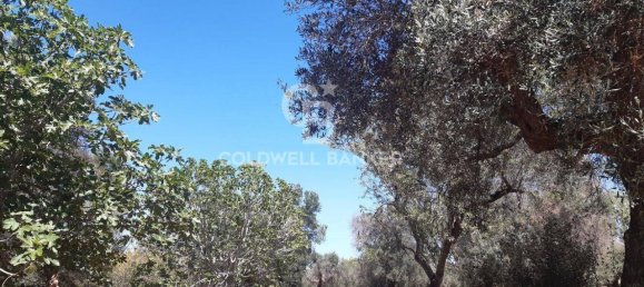 1 room Land in San Vito dei Normanni, Italy No. 149769 11