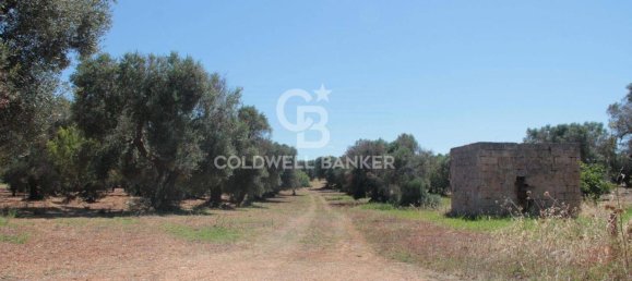 1 room Land in San Vito dei Normanni, Italy No. 149769 3