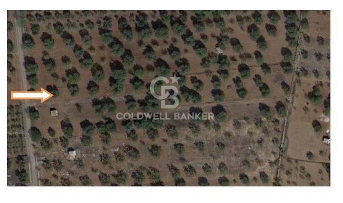 1 room Land in San Vito dei Normanni, Italy No. 149769