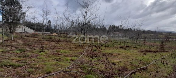 Terrain à Agueda, Portugal 5400m² No. 74060 3