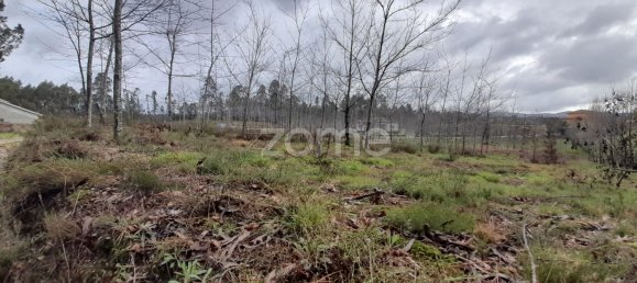 Terrain à Agueda, Portugal 5400m² No. 74060 4