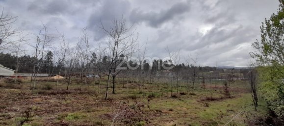 Terrain à Agueda, Portugal 5400m² No. 74060 8