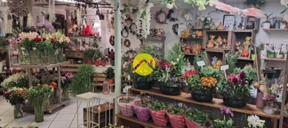 2 bedrooms Apartment in Murat, France No. 287062 15