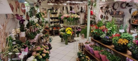 2 bedrooms Apartment in Murat, France No. 287062 14