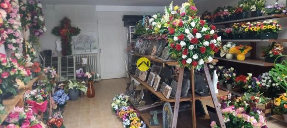 2 bedrooms Apartment in Murat, France No. 287062 13