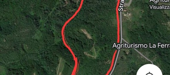 170000m² Land in Palaia, Italy No. 255480 8