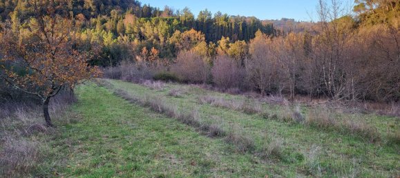 170000m² Land in Palaia, Italy No. 255480 14