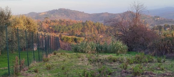 170000m² Land in Palaia, Italy No. 255480 13