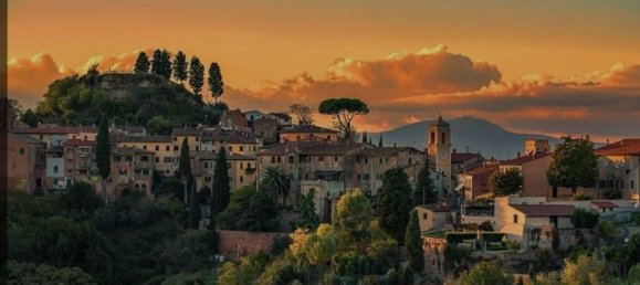 170000m² Land in Palaia, Italy No. 255480 3