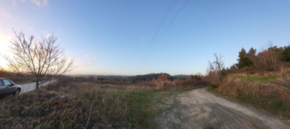 170000m² Land in Palaia, Italy No. 255480 15