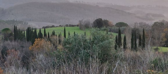 170000m² Land in Palaia, Italy No. 255480 10