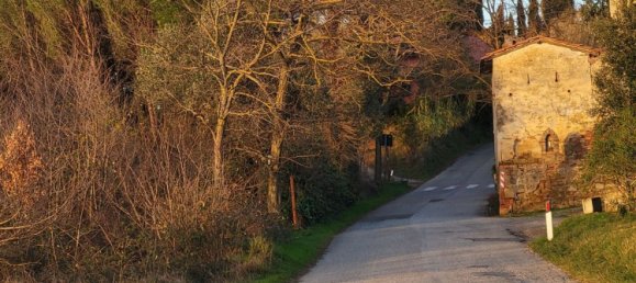 170000m² Land in Palaia, Italy No. 255480 12