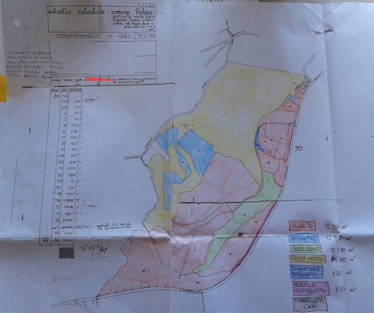 170000m² Land in Palaia, Italy No. 255480