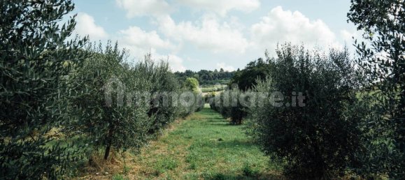 6 bedrooms House in Casciana Terme Lari, Italy No. 238609 35