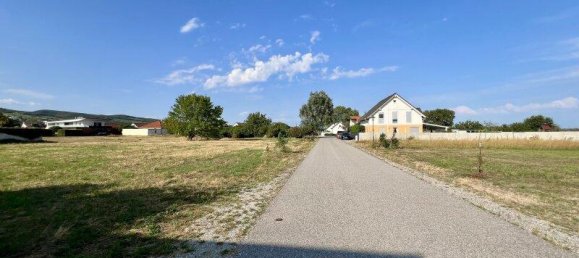 616m² Land in Purbach am Neusiedler See, Austria No. 163060 3