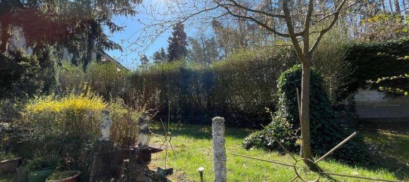 5 غرف نوم تاون هاوس في Bad Durkheim, Germany رقم 84608 7