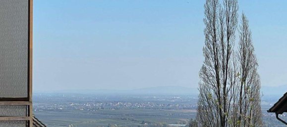 5 غرف نوم تاون هاوس في Bad Durkheim, Germany رقم 84608 2