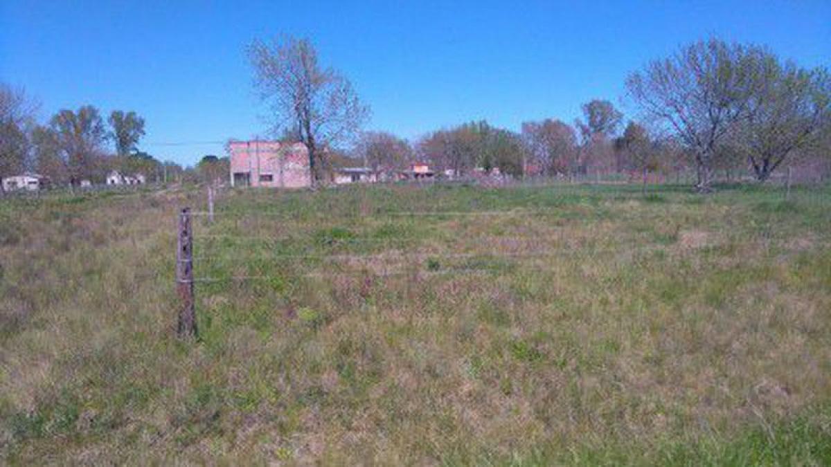  Land in Chascomus, Argentina No. 45379